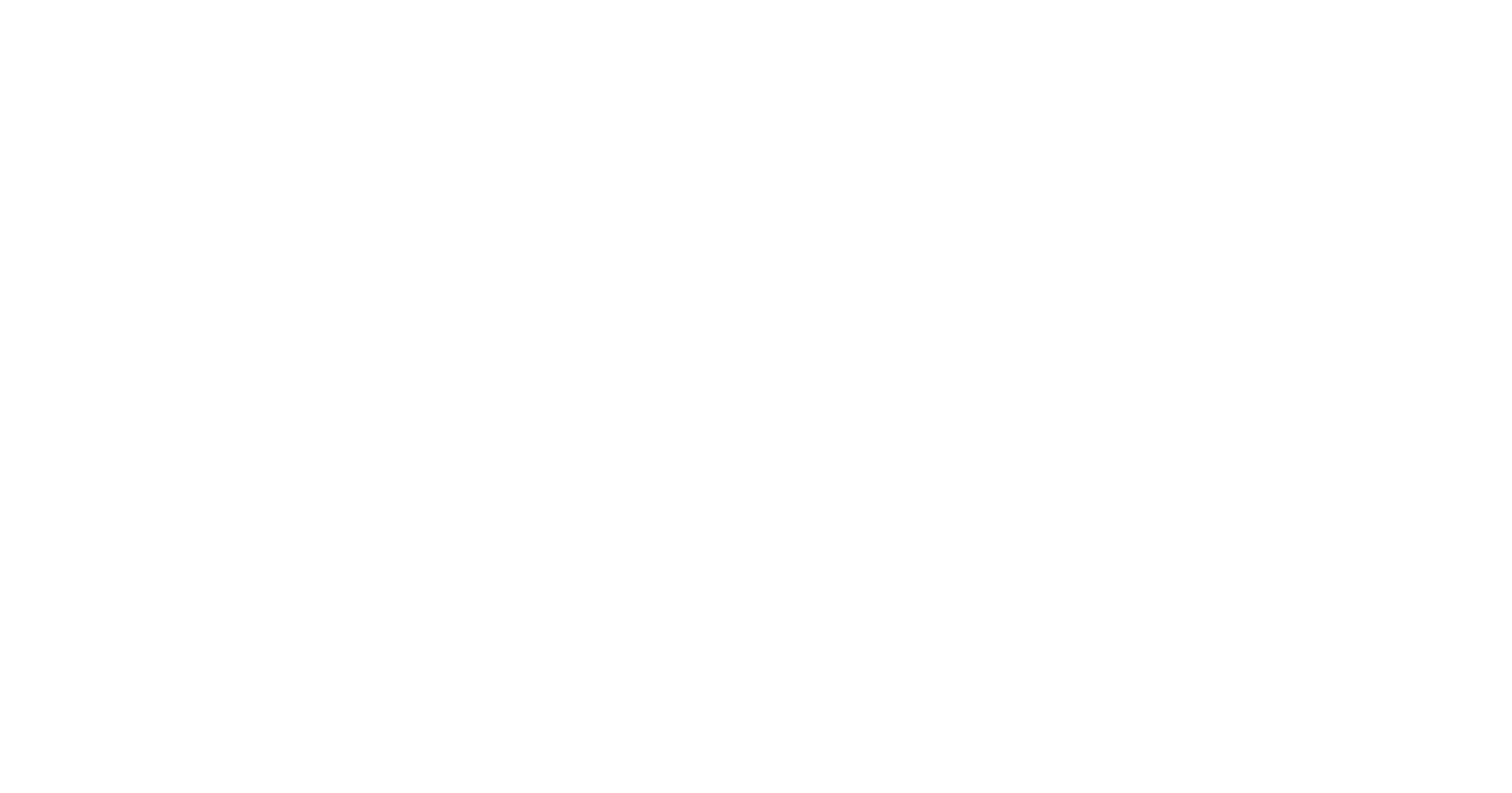 Visionary Security Program Leader Award