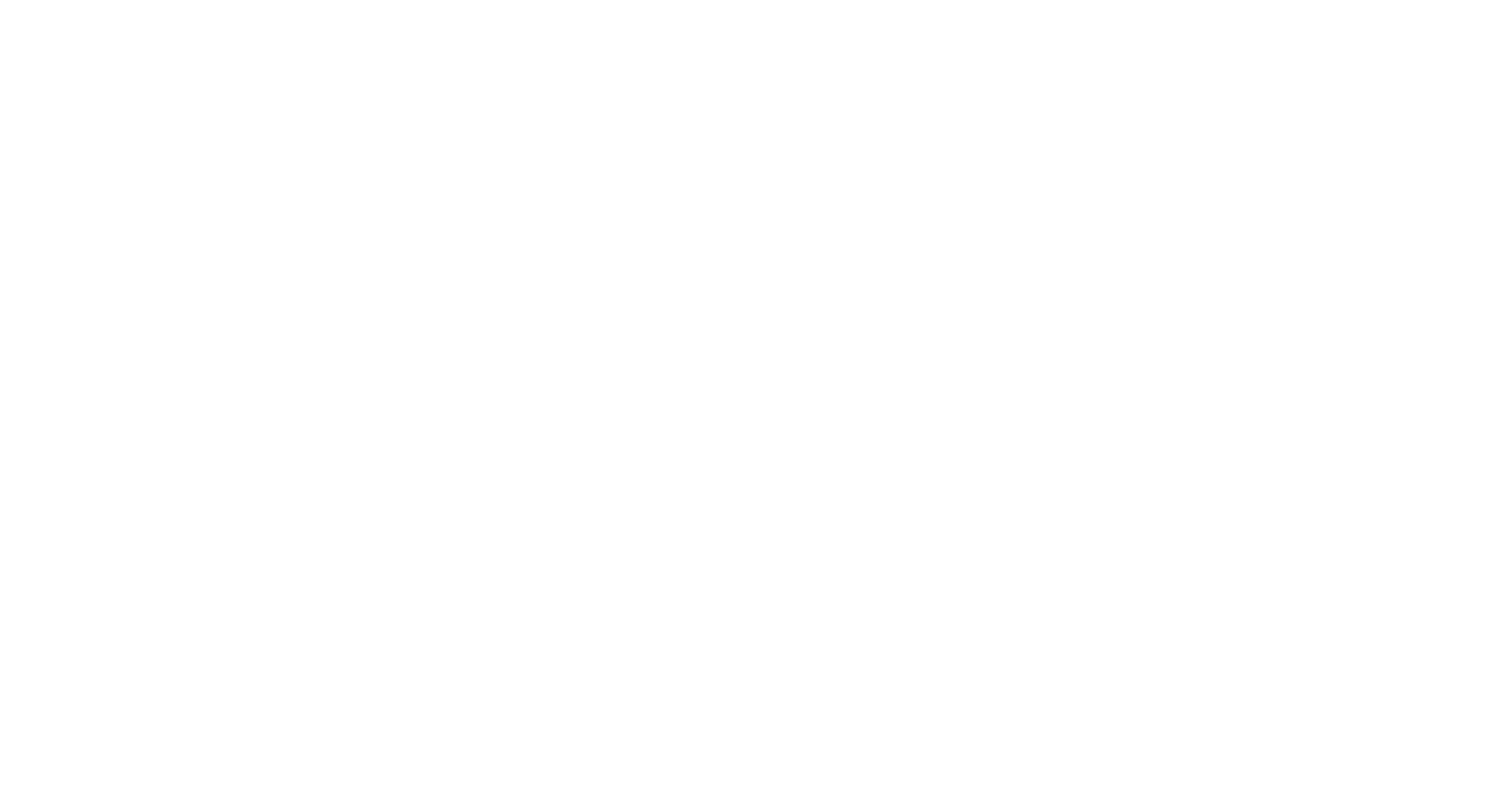 Women's Trailblazer Award